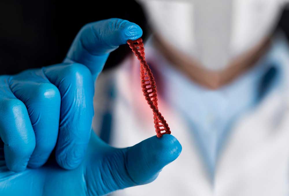 بیماری فنیل کتونوری وابسته به چیست؟